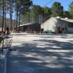 service-result-card-galley