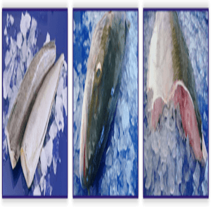 service-result-card-galley