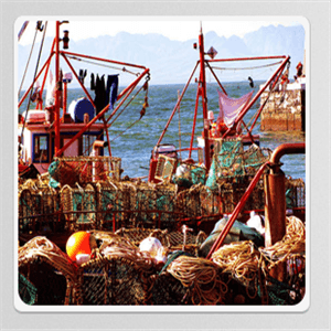 service-result-card-galley