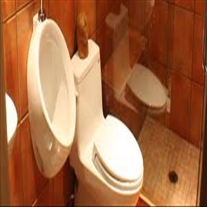 service-result-card-galley