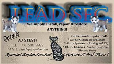 service-result-card-galley