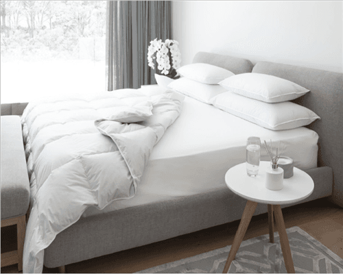 service-result-card-galley