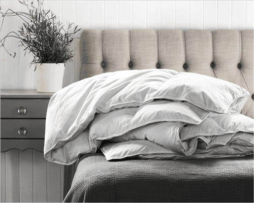 service-result-card-galley