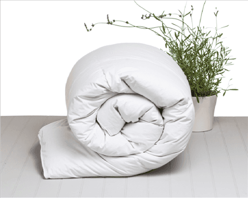 service-result-card-galley