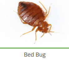 service-result-card-galley