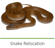 service-result-card-galley