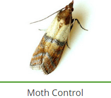 service-result-card-galley