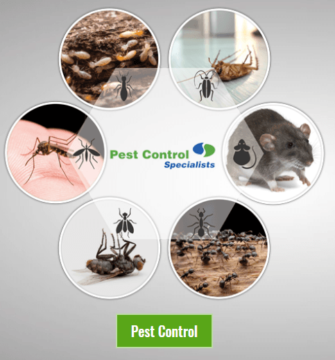 service-result-card-galley