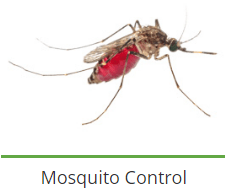 service-result-card-galley