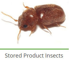 service-result-card-galley