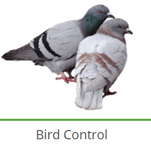 service-result-card-galley