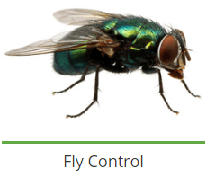 service-result-card-galley