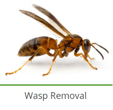 service-result-card-galley