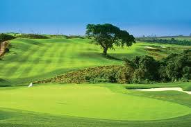 service-result-card-galley