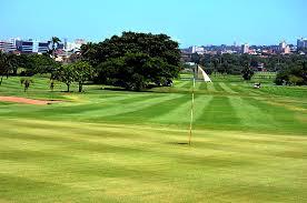 service-result-card-galley