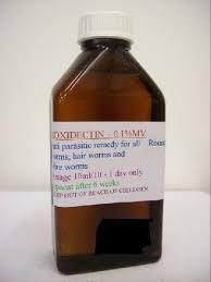 service-result-card-galley